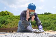 生産最盛期の5月の尾崎さん